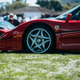 Image for article titled Behold The Insane Opulence Of The Quail, America's Bougiest Car Show